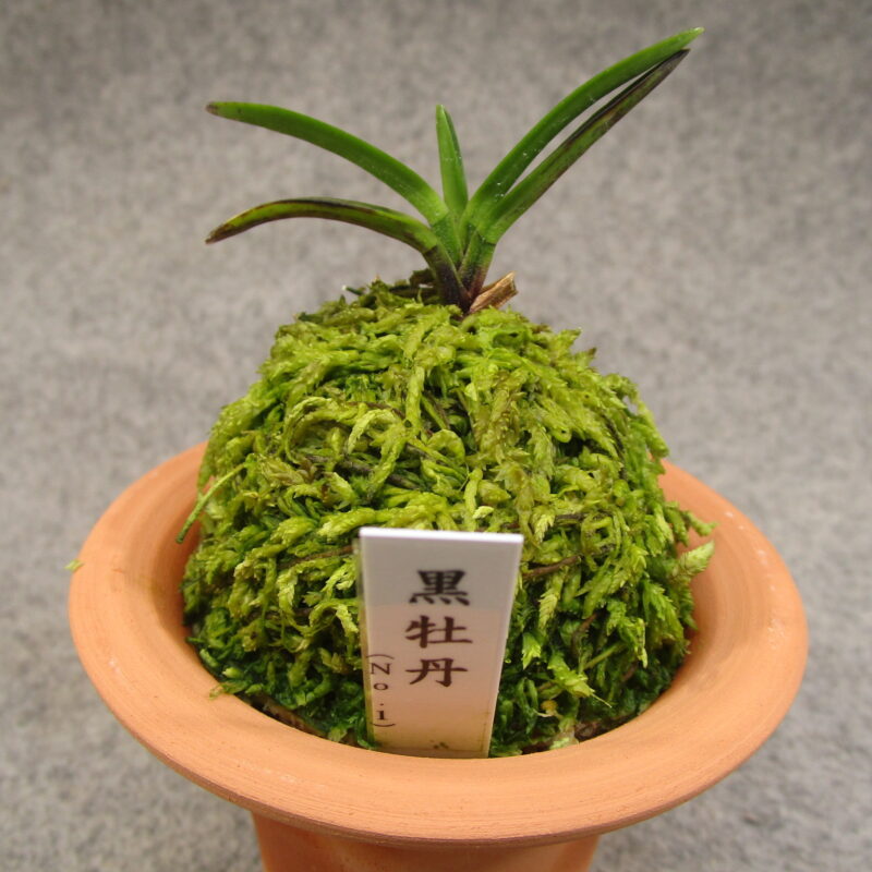 fu0025