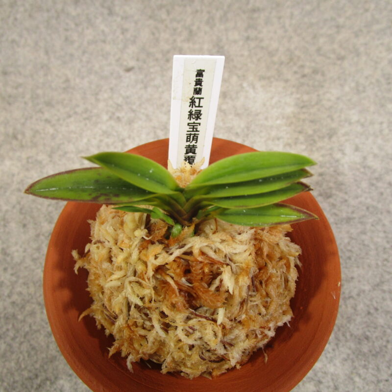 fu0102